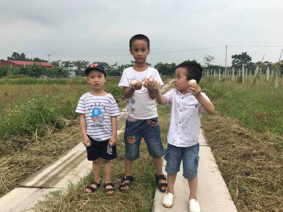 du lịch nông trại