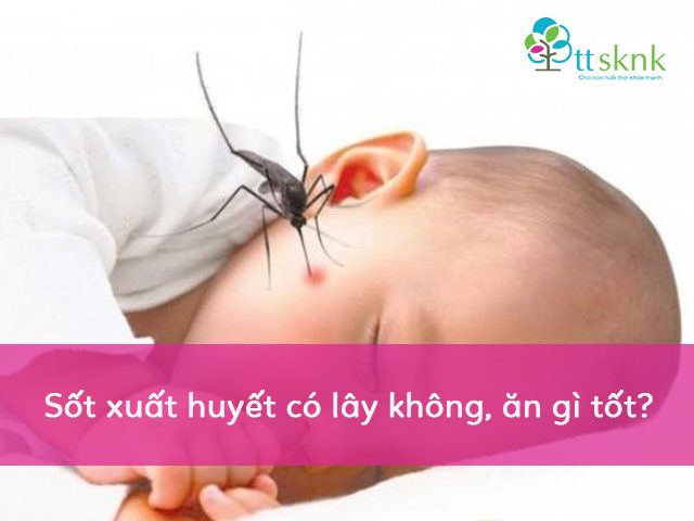 Sốt xuất huyết có lấy không Sốt xuất huyết có lấy không
