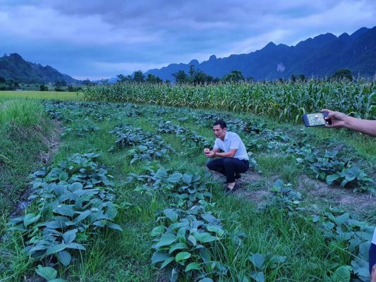 GÌN GIỮ TINH HOA THẢO DƯỢC VIỆT NAM