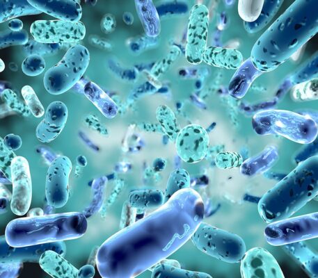 Men vi sinh bổ sung hàng tỉ lợi khuẩn cho đường ruột